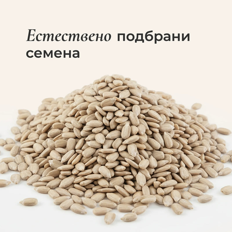 Слънчоглед белен