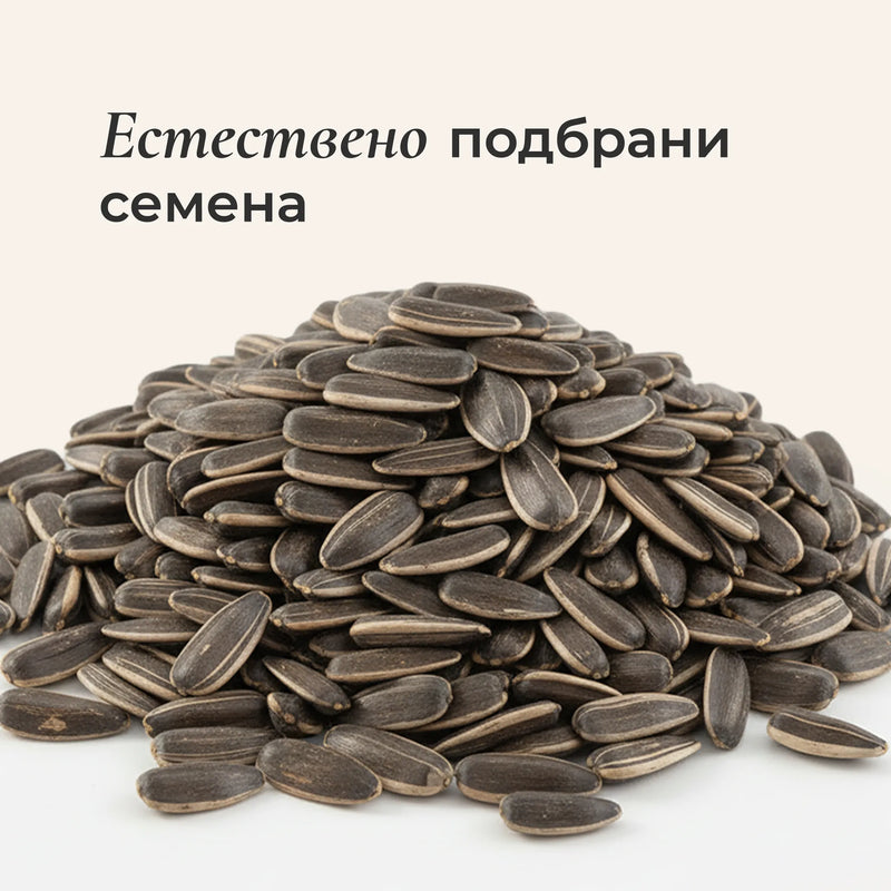 Слънчоглед небелен суров
